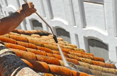 Nettoyage de toitures - Talissieu